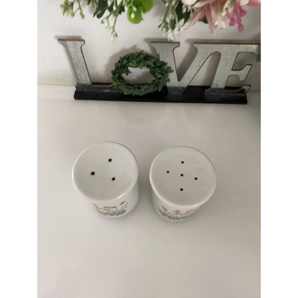 Takashi Ceramic Salt and Pepper Shakers‎ Orange Flowers - Picture 8 of 16